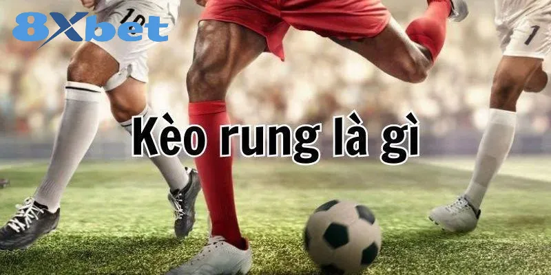 Kèo rung là gì? Hướng dẫn về cách bắt kèo và thắng lớn Thông tin về kèo cược rung tại 8xbet